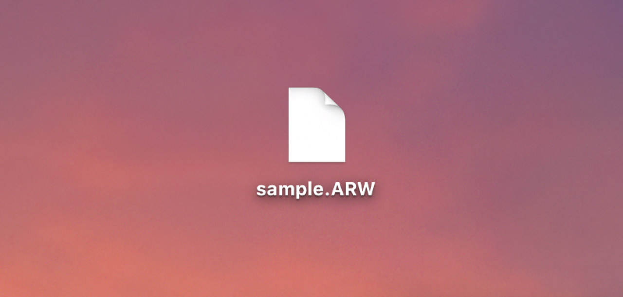 raw-extension-tiff2.jpg ChromeブラウザであればRAWのままダウンロード可能