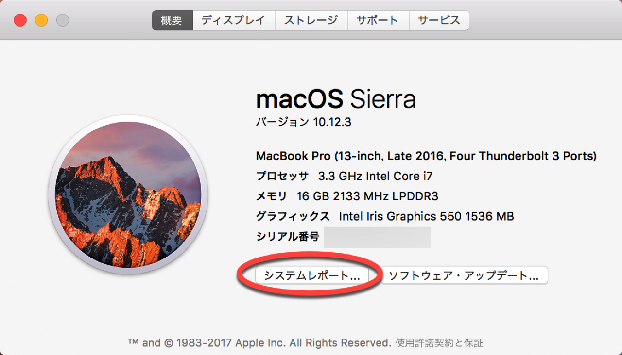mac-safe-boot5.jpg システムレポート