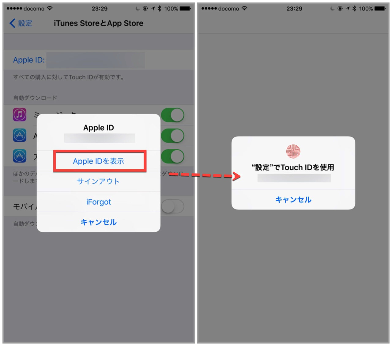 cancel-billing-iphone-application2.jpg Apple ID を表示