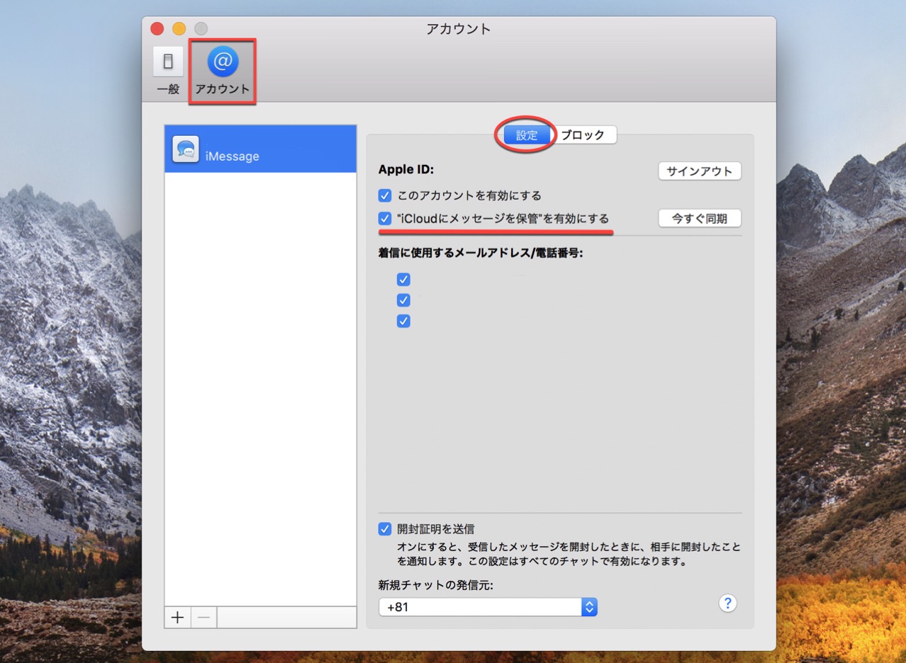 save-messages-to-icloud1.jpg アカウントの設定でiCloudにメッセージを保管を有効にする